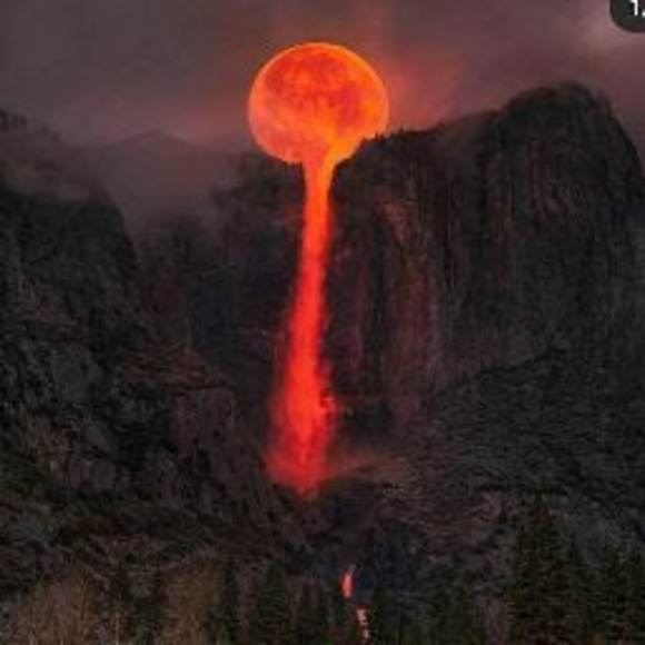 Meet your Posher, Efigenio - Picture 1 of 1